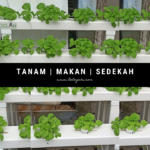 BELOYA2U GALERI BELOYA2U