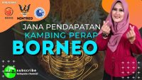 zias kambing perap sarawak